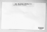 Image Associated With the Occurrence